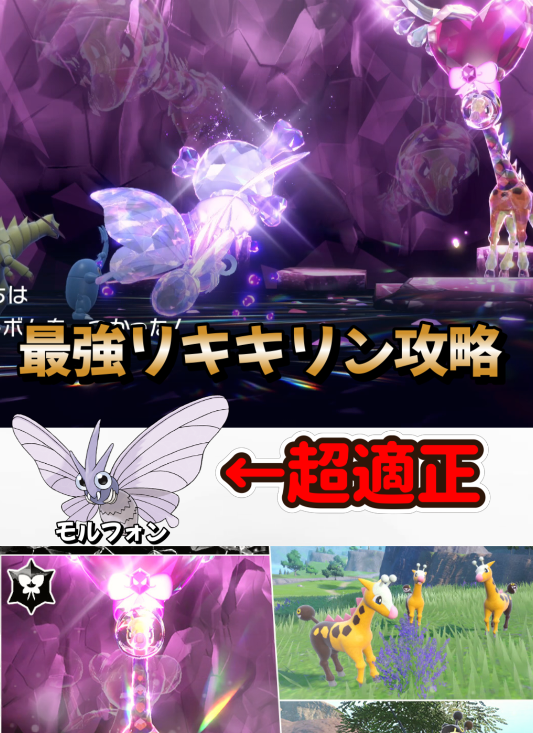 @冒険の熊吉【ポケモン実況者】🐻🎁