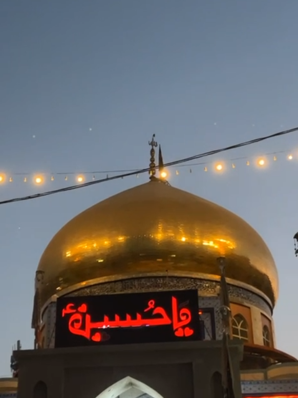 @hadizehra313