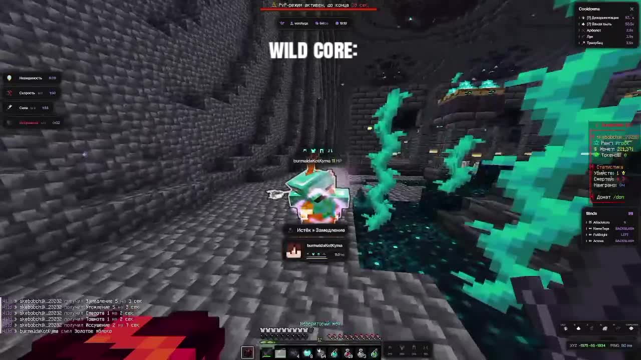 @dangerverchik