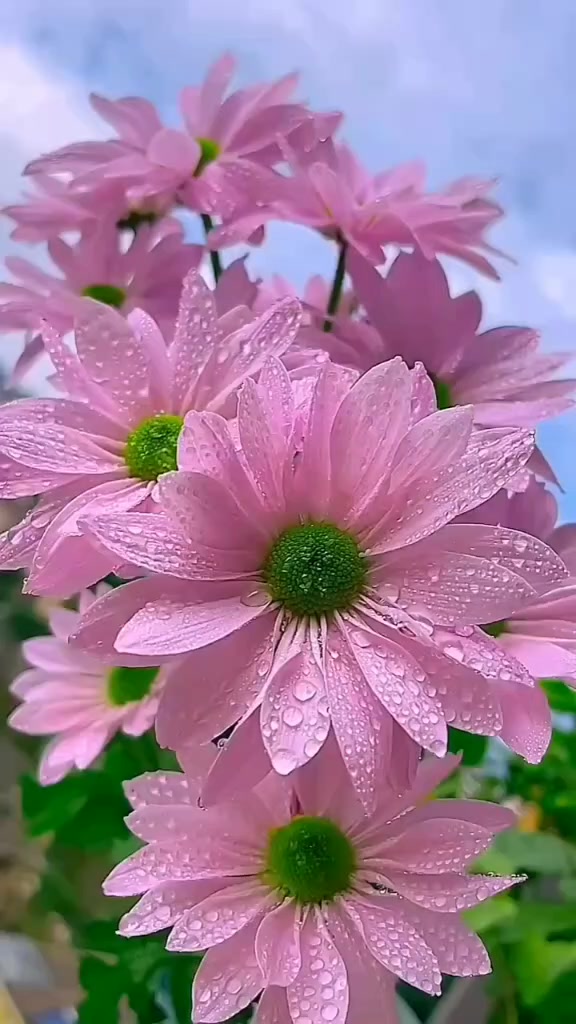 @Md Arif Ahmed