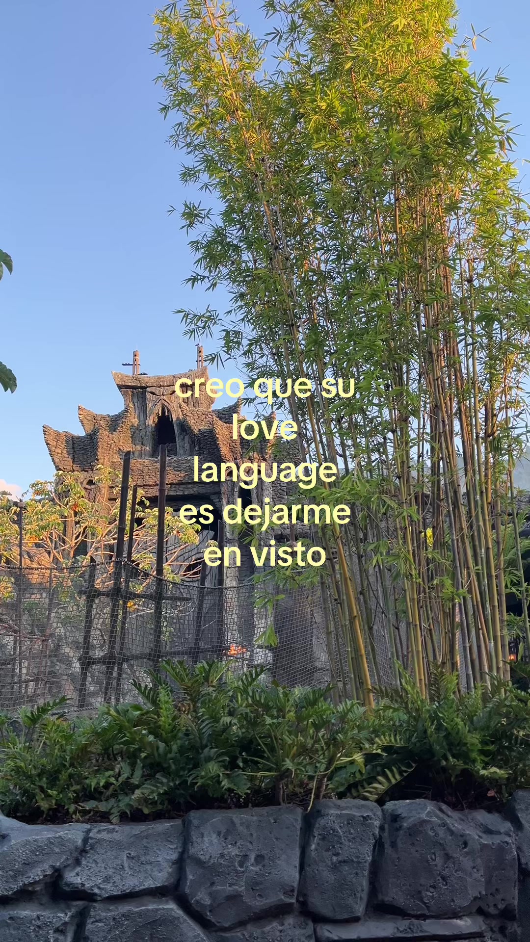 @leo