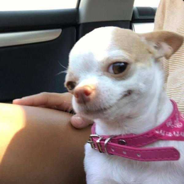 @J.R