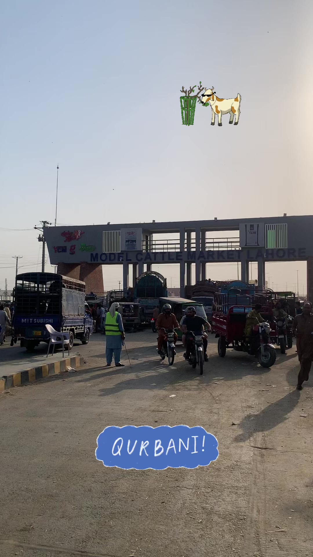 @Shahzaib Ali