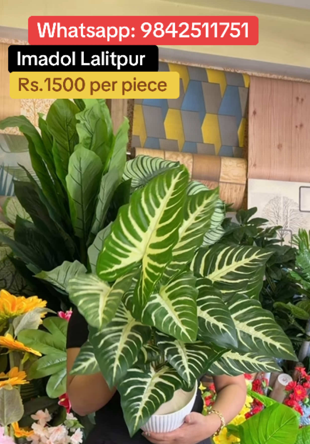 @wallpaper Dhankuta Home Deco