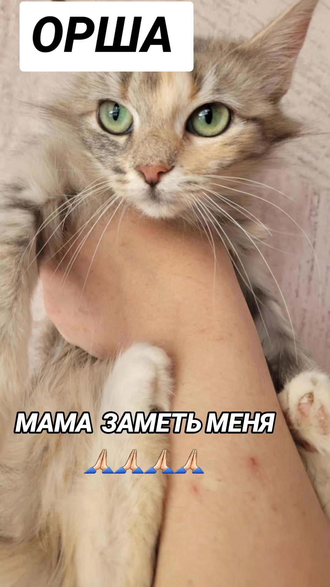 @marinka20_09