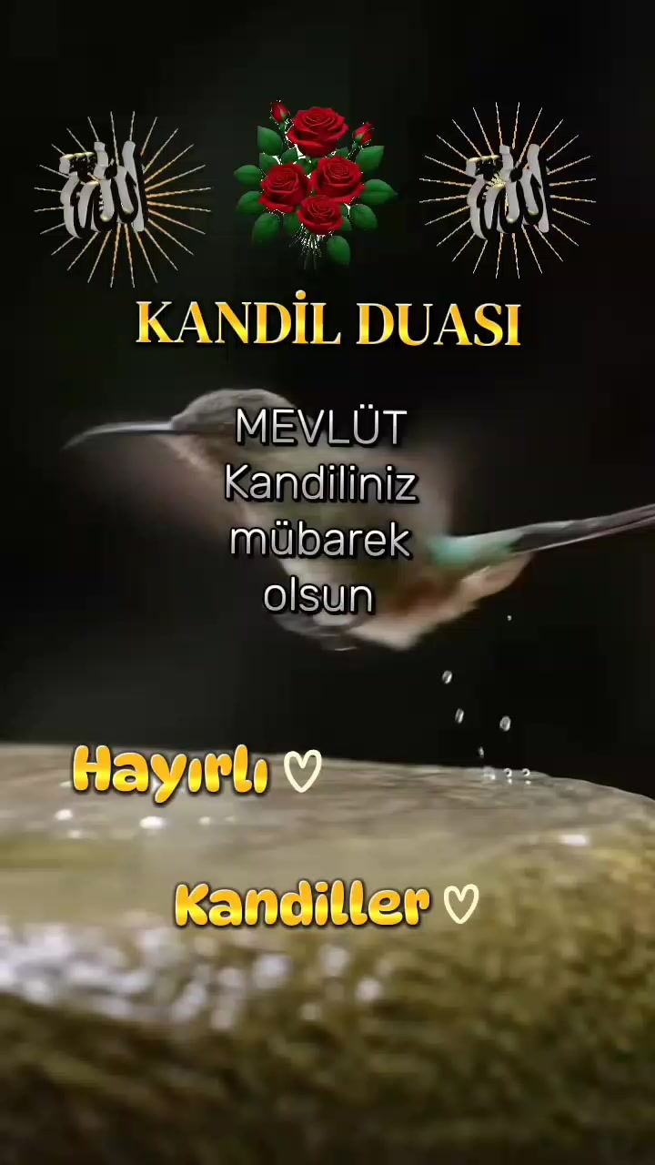 @Yakup Kaya