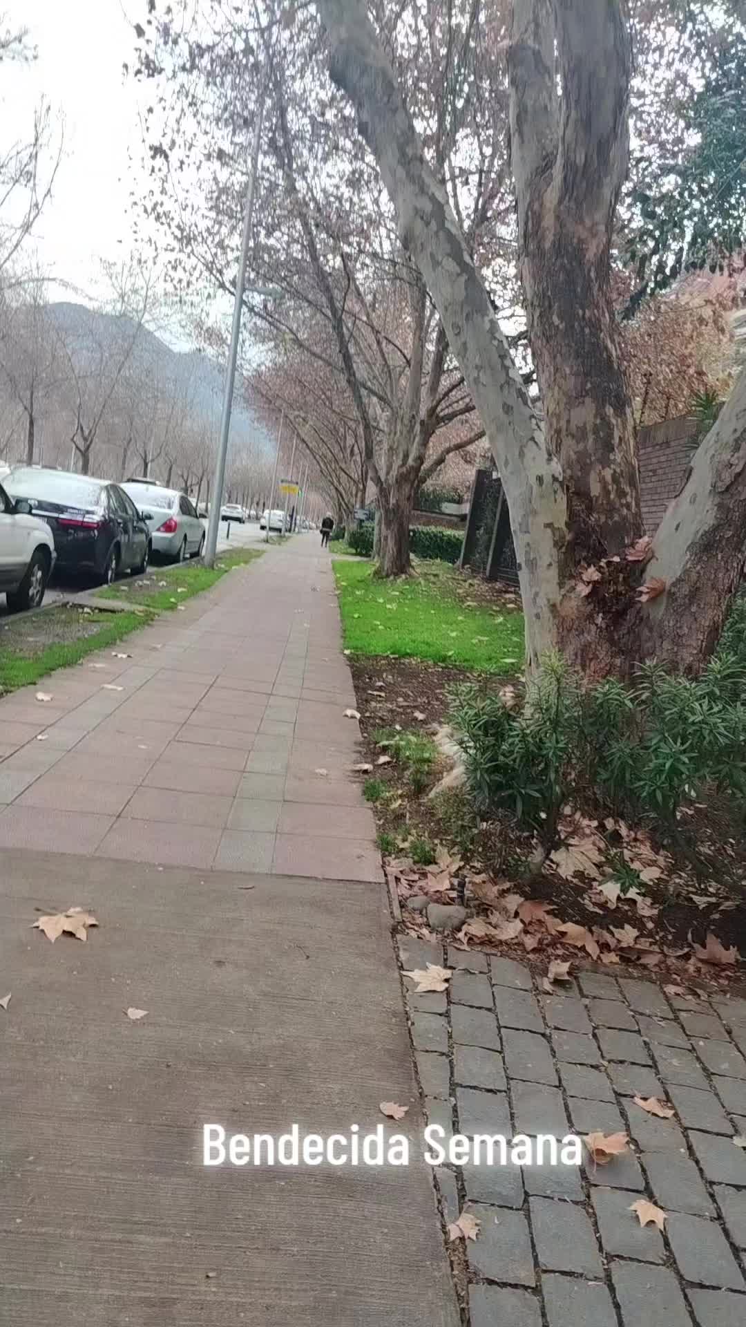 @NACIRA RAM&Iacute;REZ 🇵🇪🇨🇱