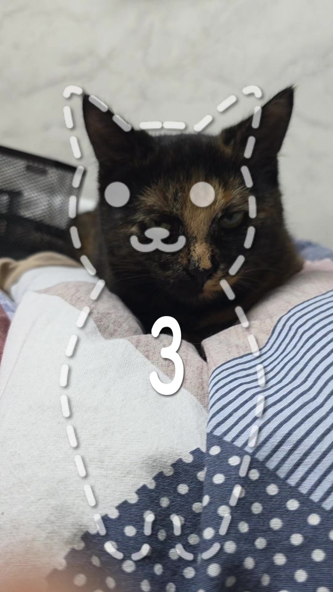 @₭Ł ዪጠ ቿ :з҉