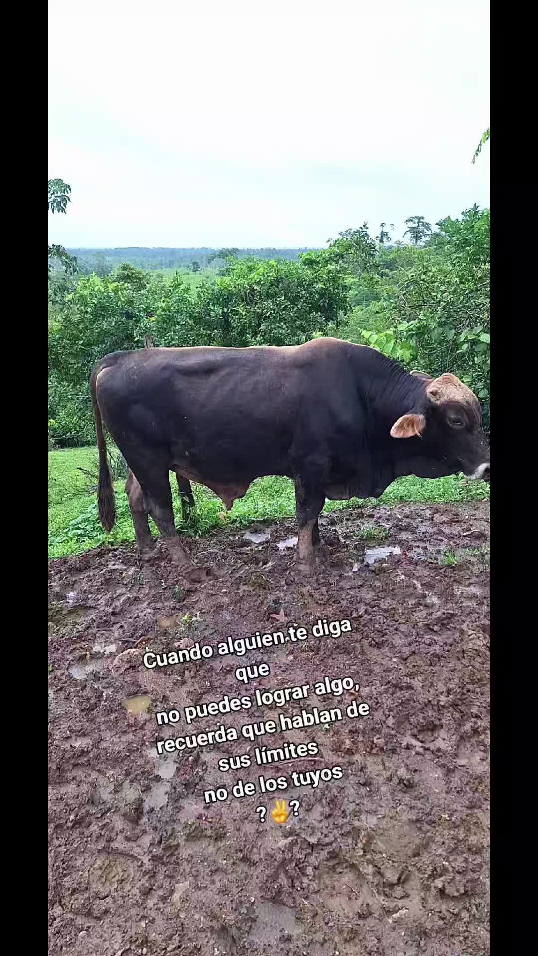 @Řobleto+🐄/Rancho (🐎)+🤠