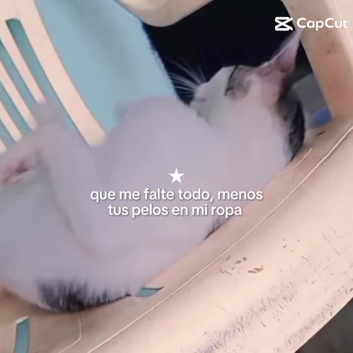 @🍃🤍