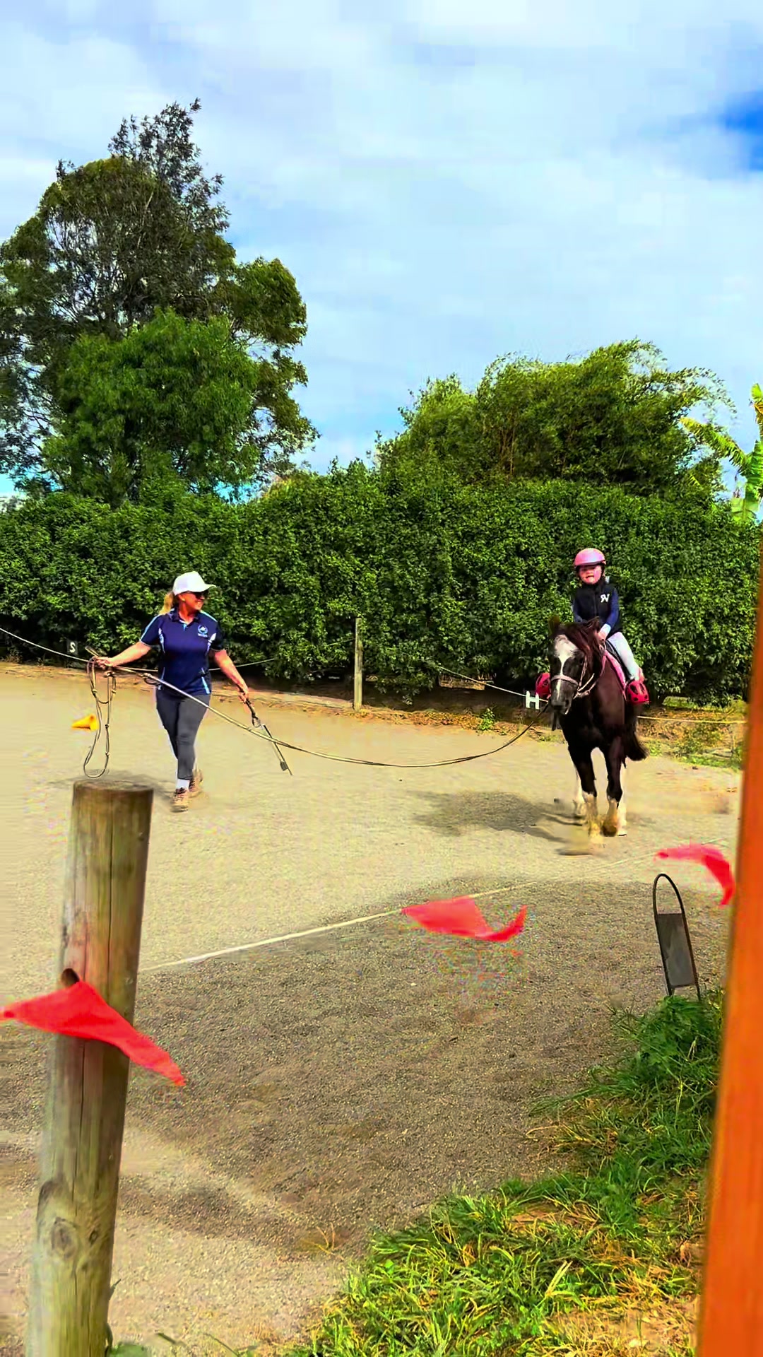 @RV Park Show Ponies