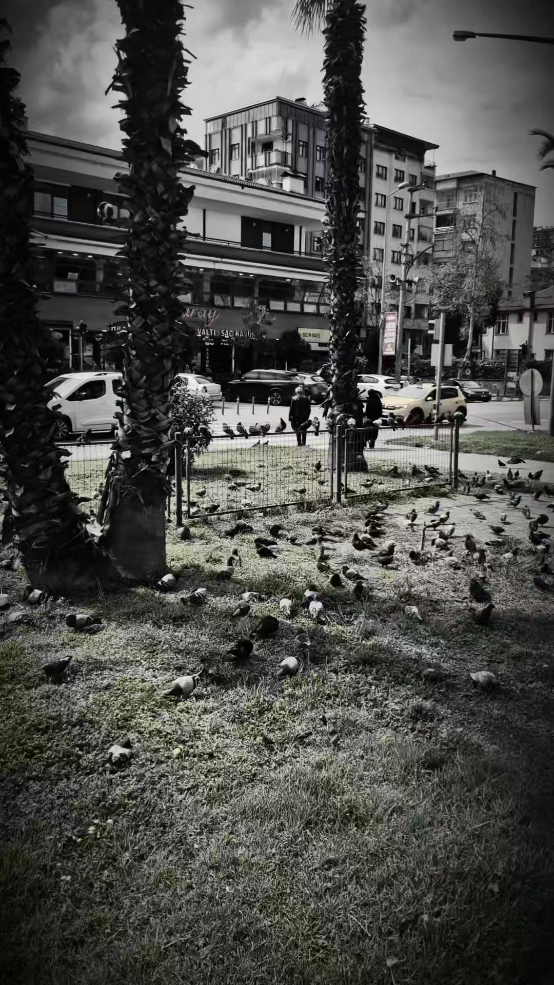 @Sönmez