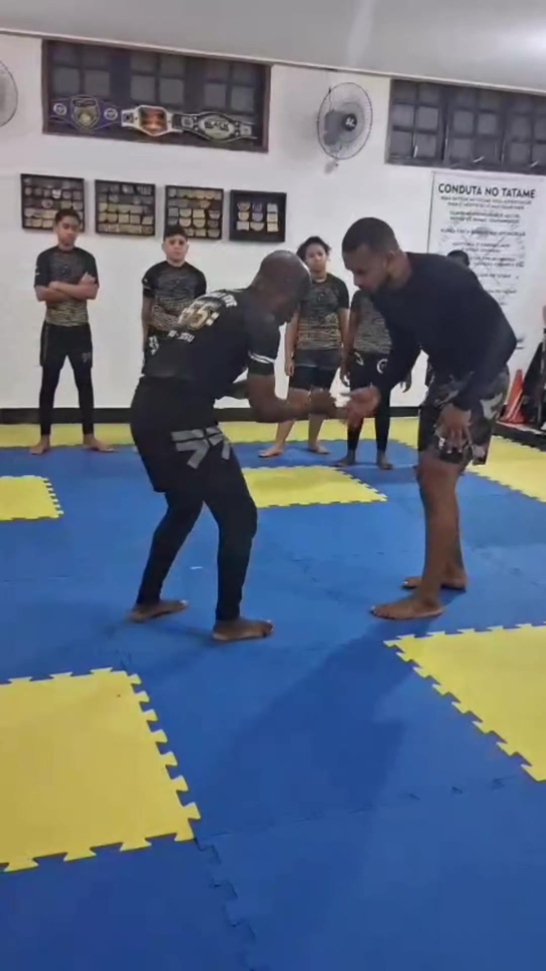 @mauricioribeiro.bjj