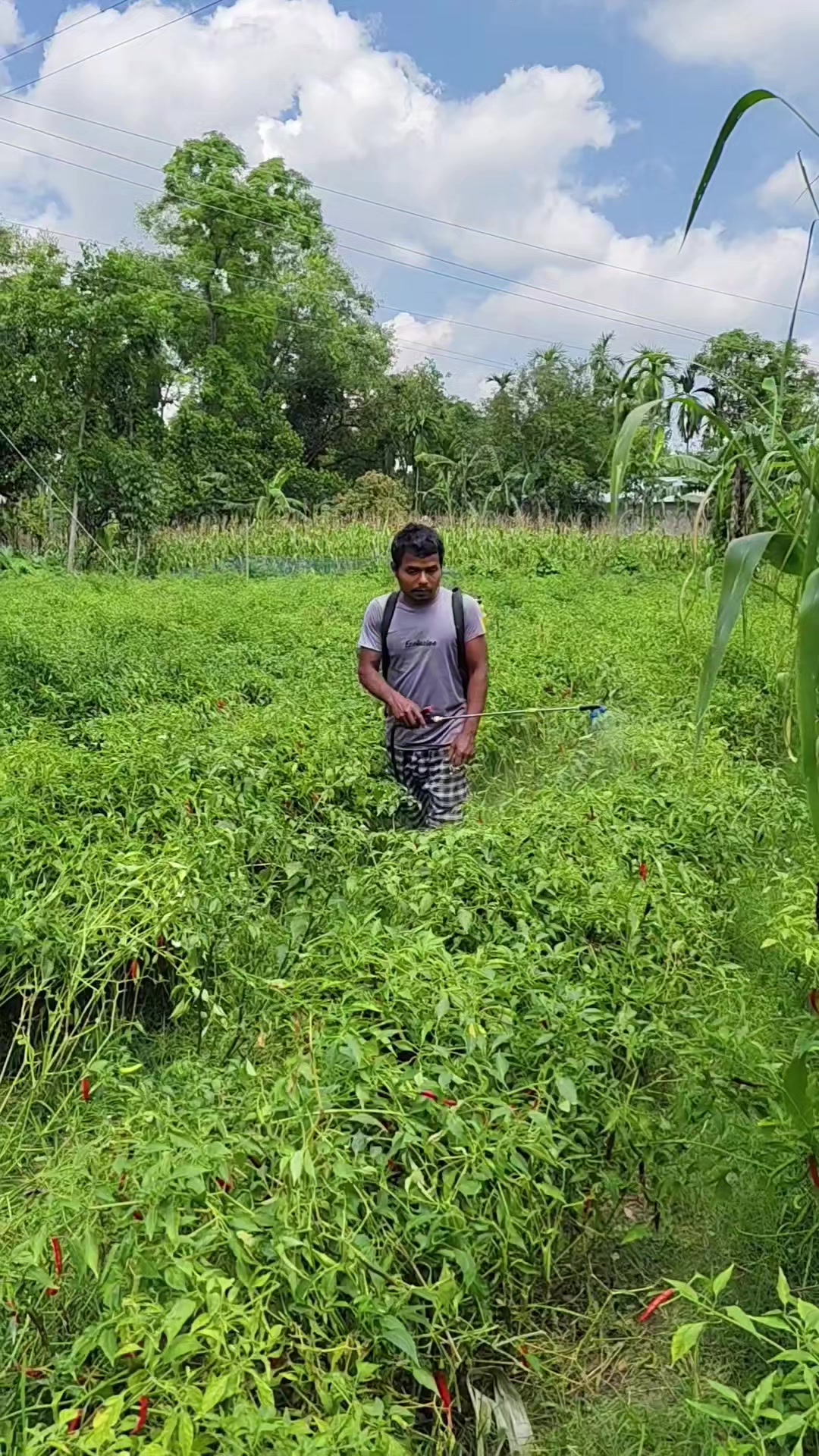 @Arun Chandra Ray | Nature Vibe