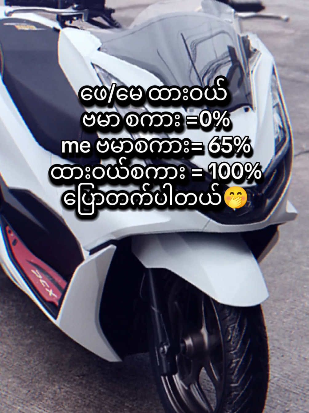 @77・KNO