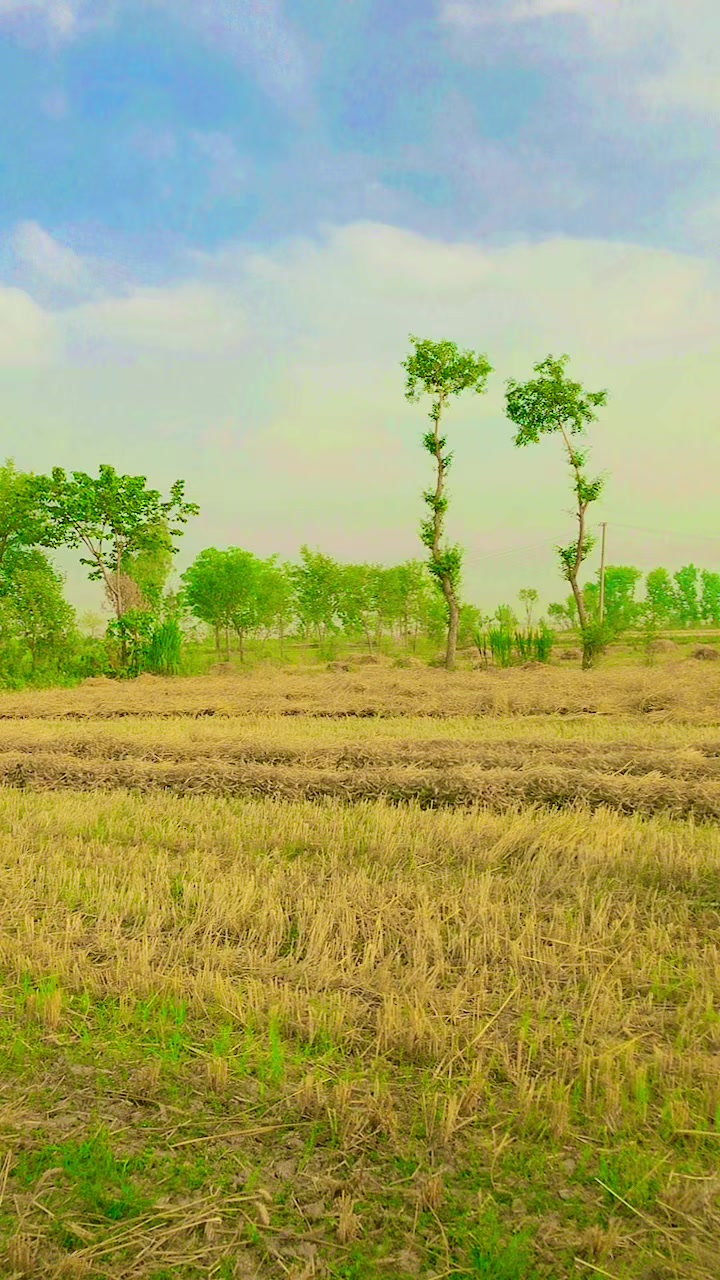 @Syed ali zaman gillani Qadri