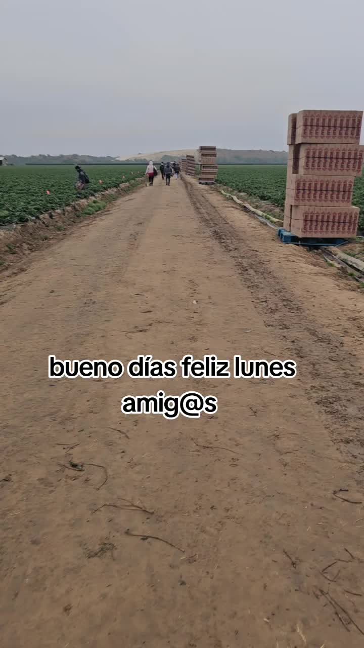 @🇲🇽🐦&zwj;⬛🪺VASQUEZ🚚🌪💎