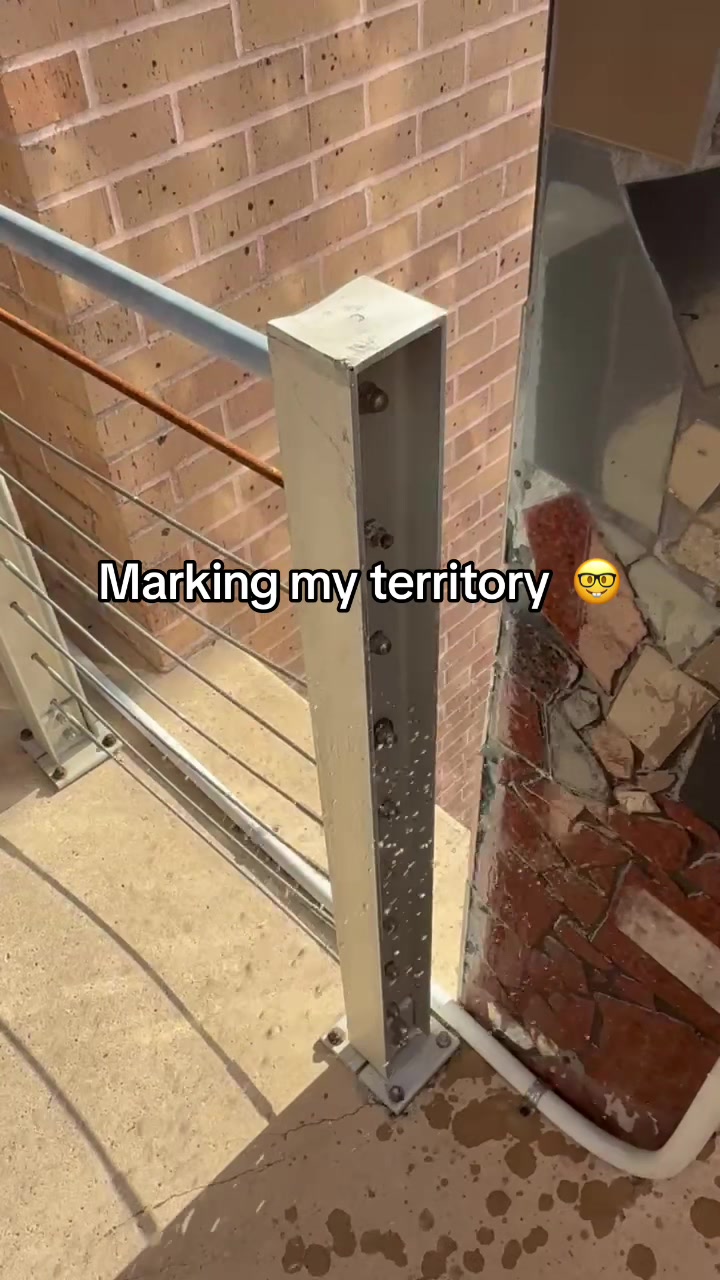 @utrgvpisser