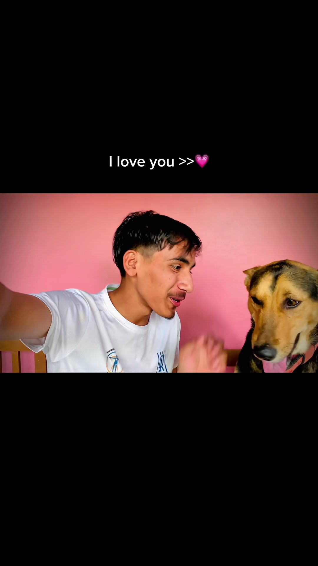 @Harry Bisht