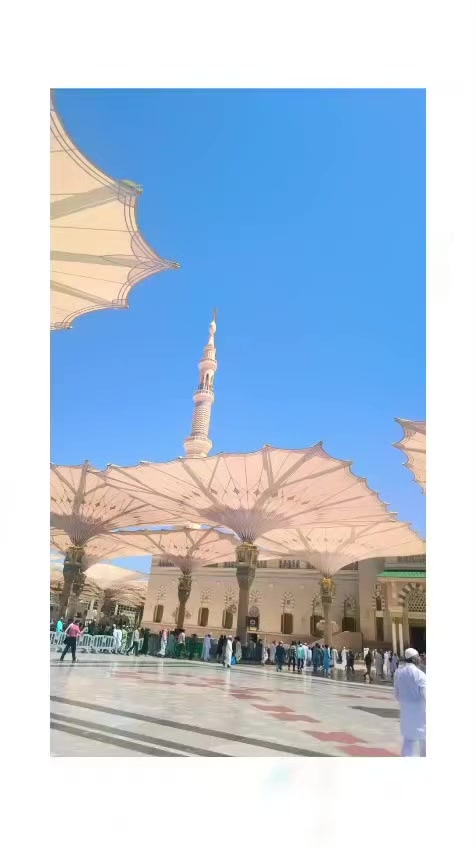 @توقیر نمبردار ۔🇸🇦