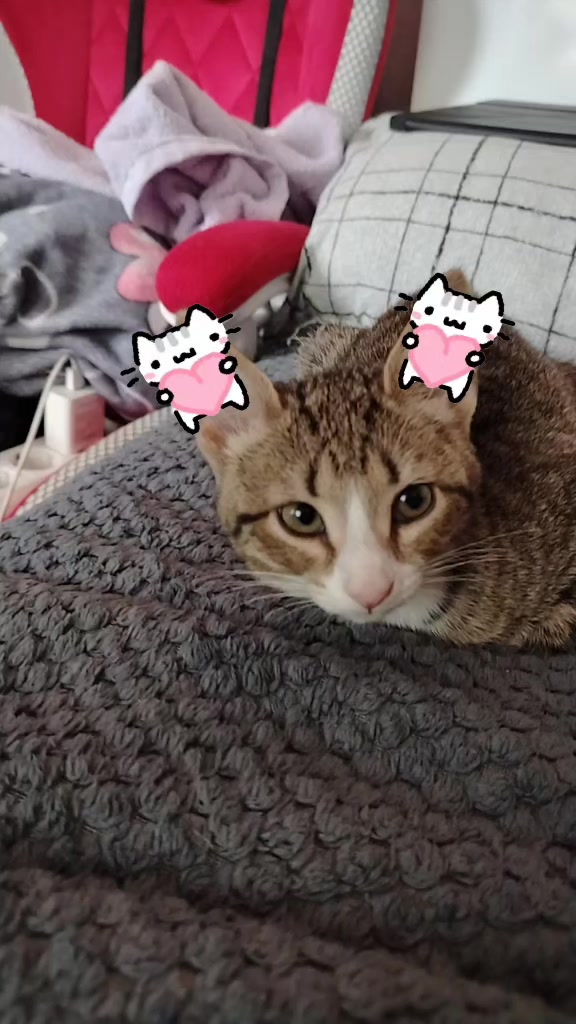 @✨オレチカ♡-♡❤ ✨