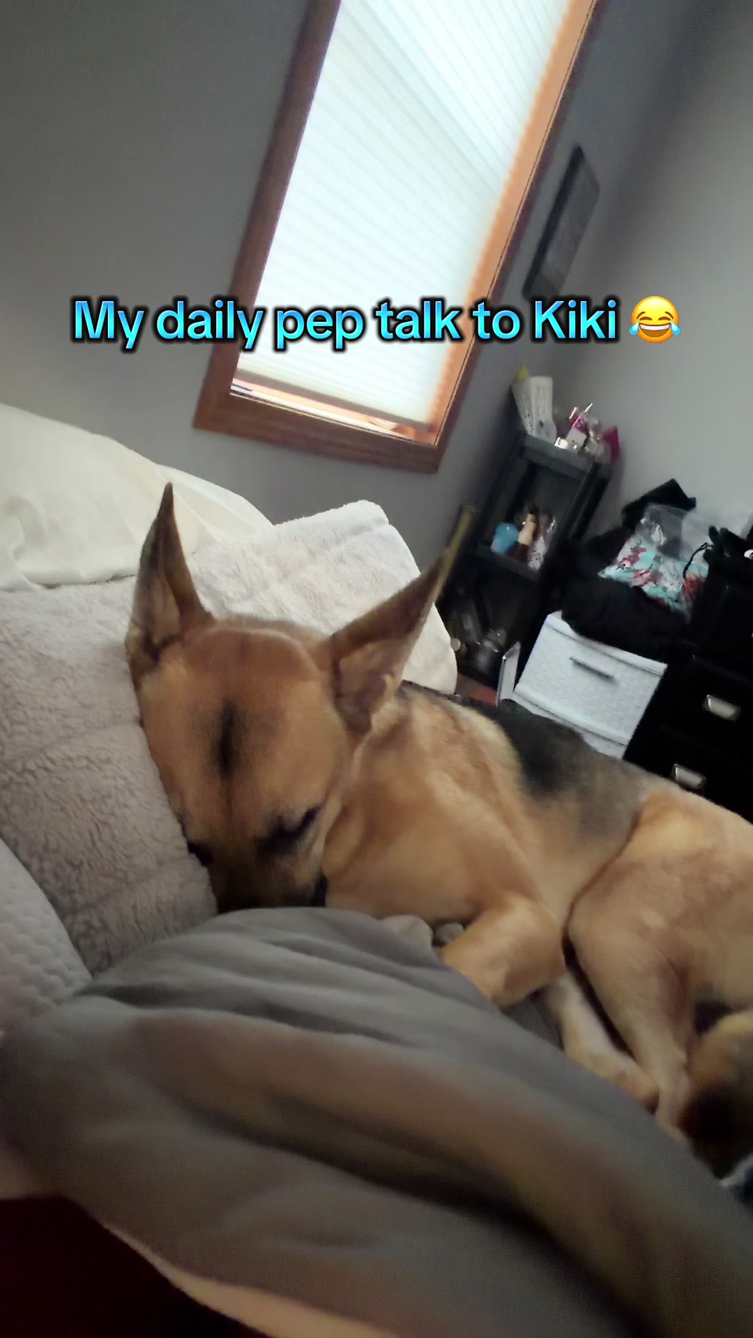 @Kiki.GSD