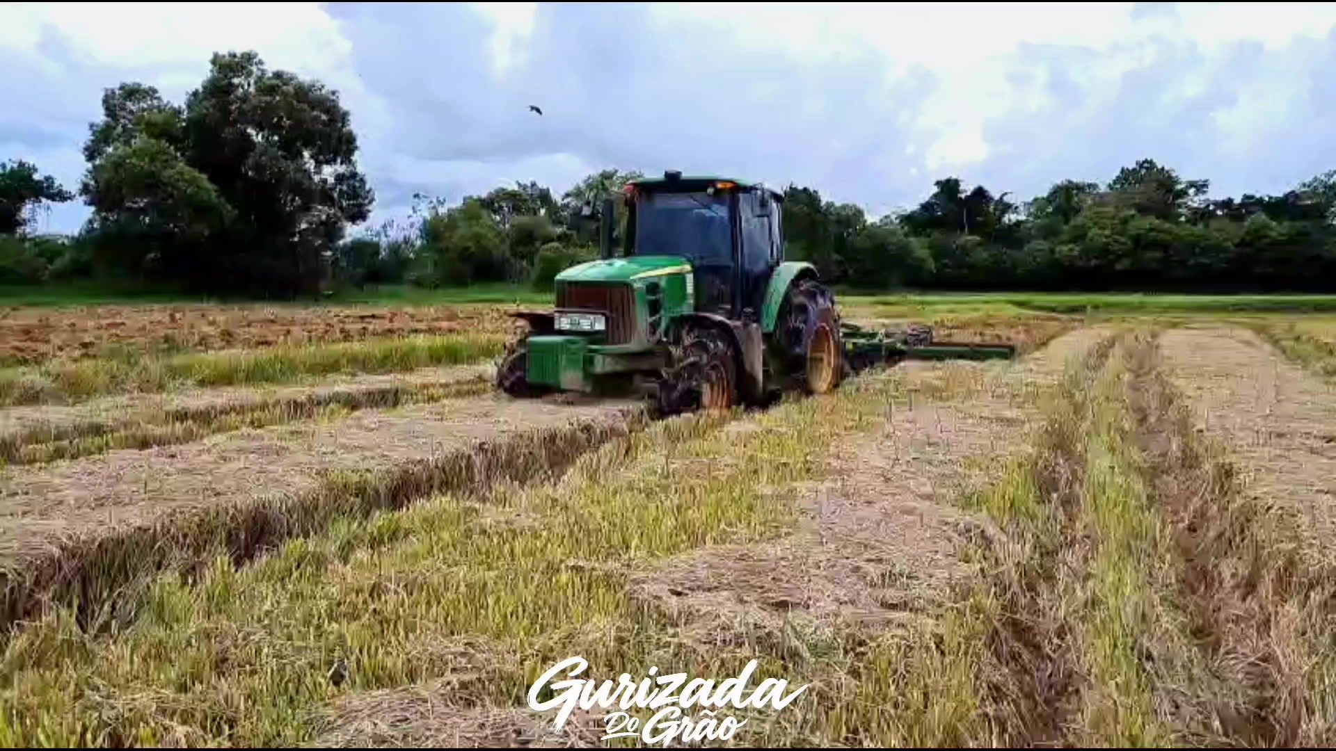 @Gurizada Do Grão Oficial