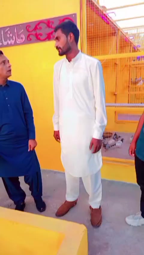 @waqarsulehri555