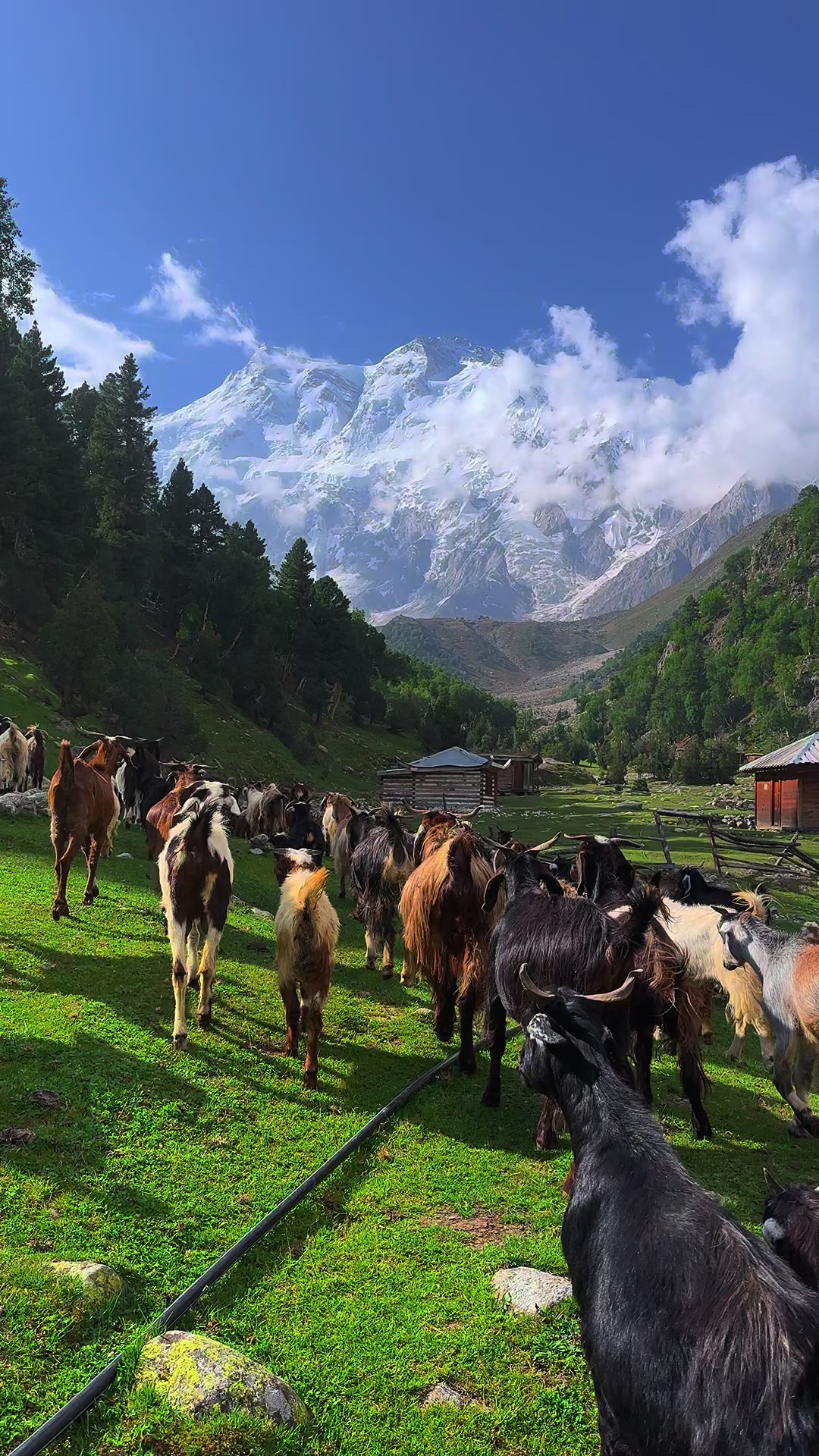 @Vista_Skardu