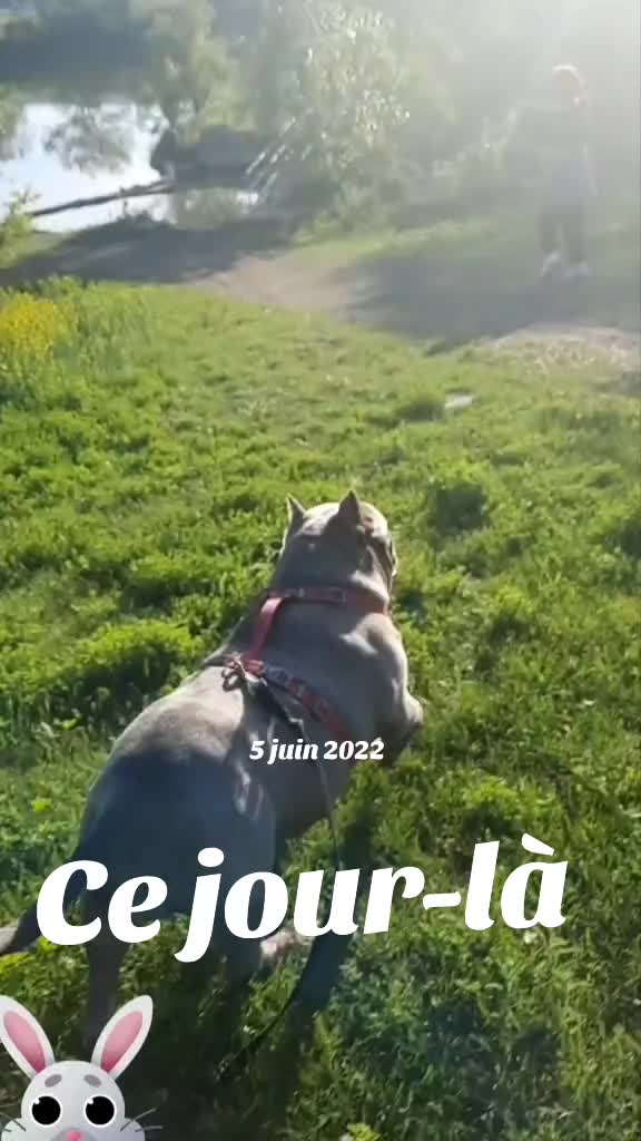 @siempreluna