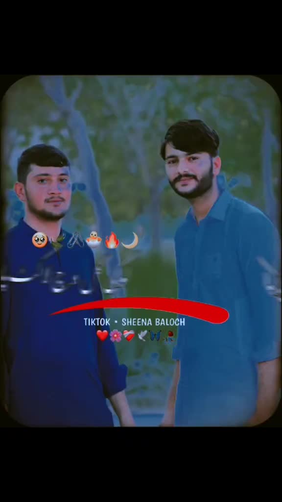 @زین علی 03426445142
