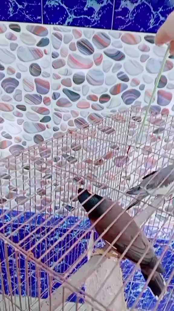 @🇴🇲&hearts;️তোমাকে ছাড়াওজীবন চলে