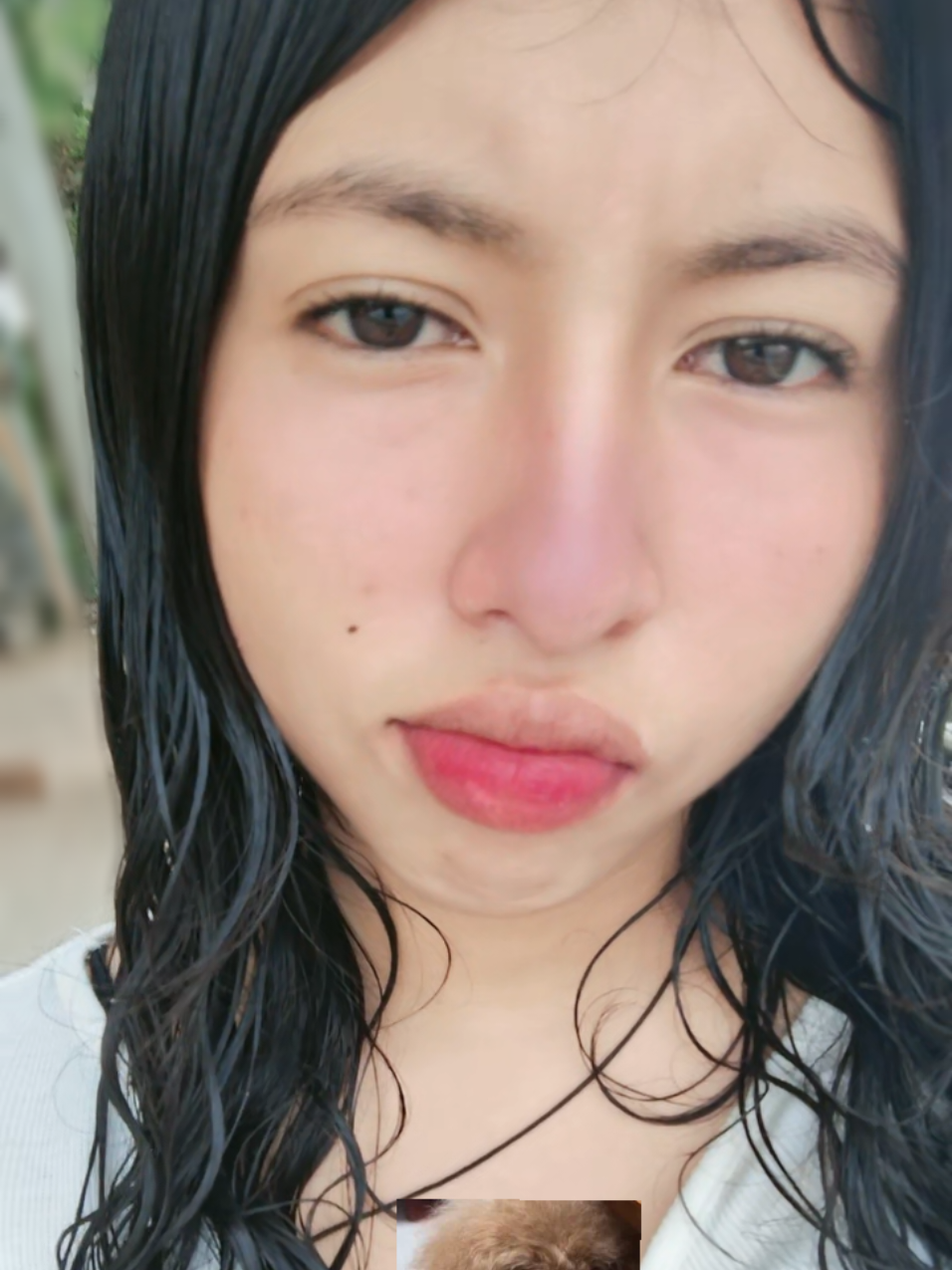 @๐ซฉ๐๐๐ญ๐ฎ๐ตí ๐ก๐ช๐ถ๐ธ๐ผ๐ฃ