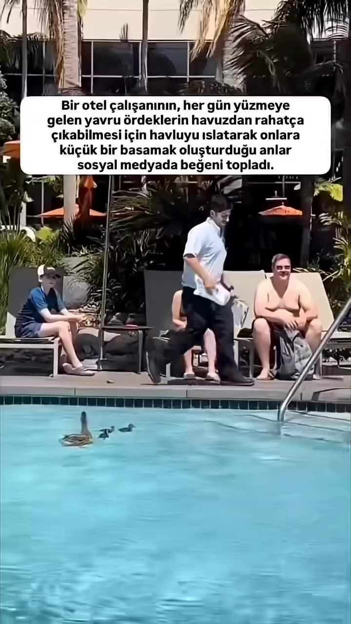 @DELIKANLI   RİZE'Lİ.C&Uuml;NEYT 53