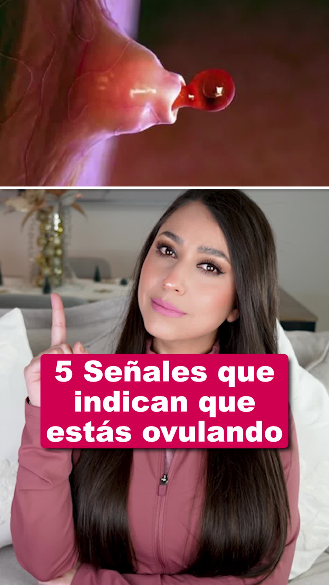 @Dra. Pau Z&uacute;&ntilde;iga