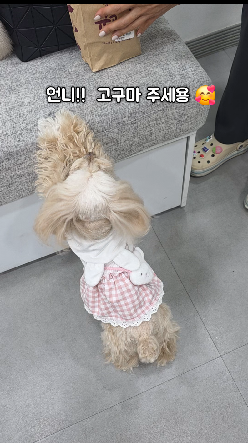 @토리엄마