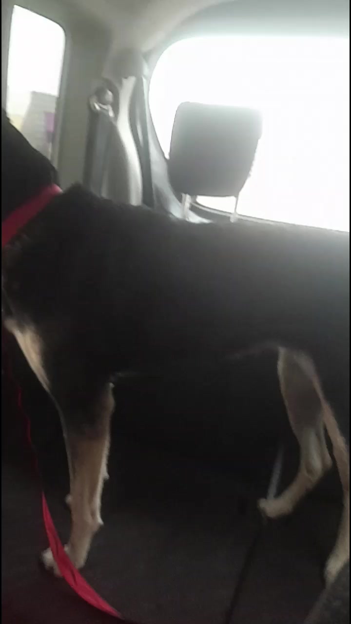 @Orimbajnrkennels
