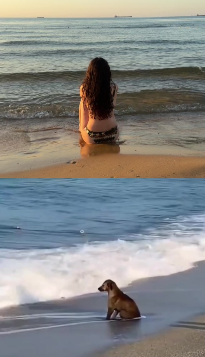@sinemeverything