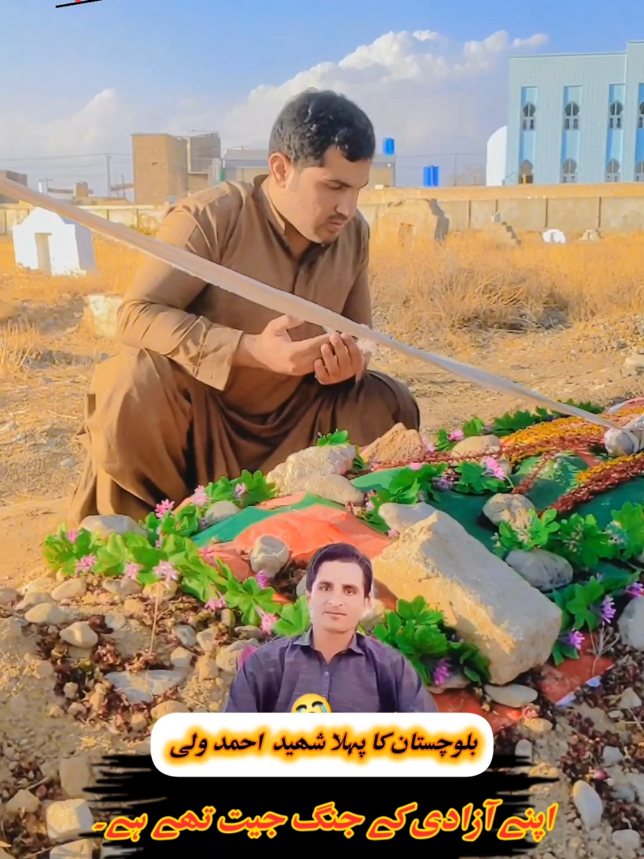 @Tayeb khan Sanzar
