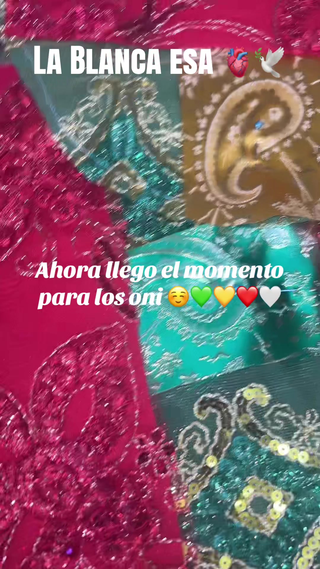 @Lacasadeeggun🤍🖤