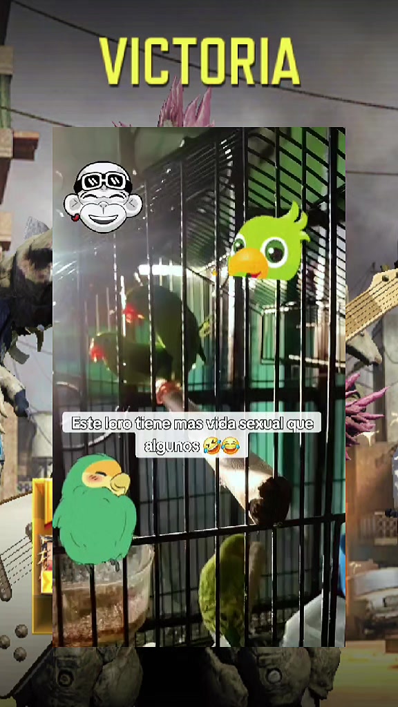 @ƝƳƓMƛƝ ۞ ƊƖ́ƛȤ 💀