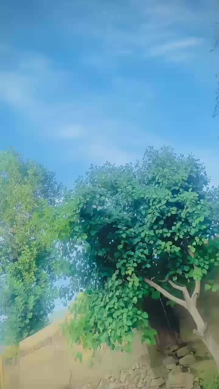 @Sayyed باسیم 🚩