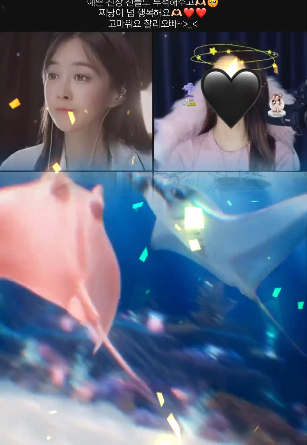 @❤️김진향작가📚
