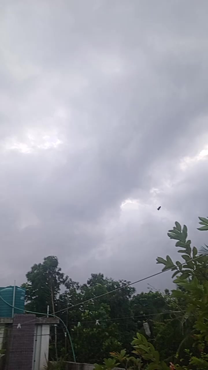@đ§đŠāĻĒā§āϰāĻŋāϝāĻŧ āĻŦāĻŋāĻā§āϰāĻŽāĻĒā§āϰ, đ§đŠ