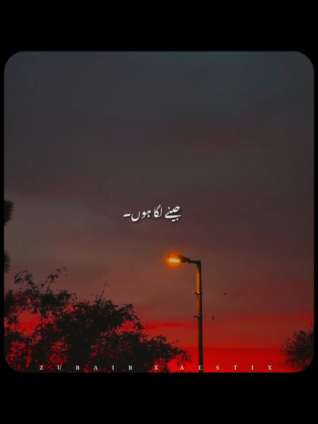 @𝙕𝙐𝘽𝘼𝙄𝙍 𝙓 𝘼𝙀𝙎𝙏𝙄𝙓🎧
