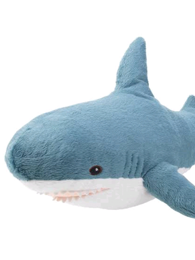 @💙🫐sharkie rants🫐💙