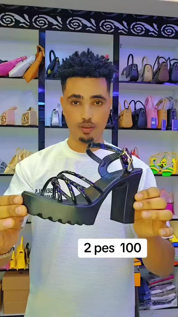 @IBRO_COLLECTION 🇦🇪