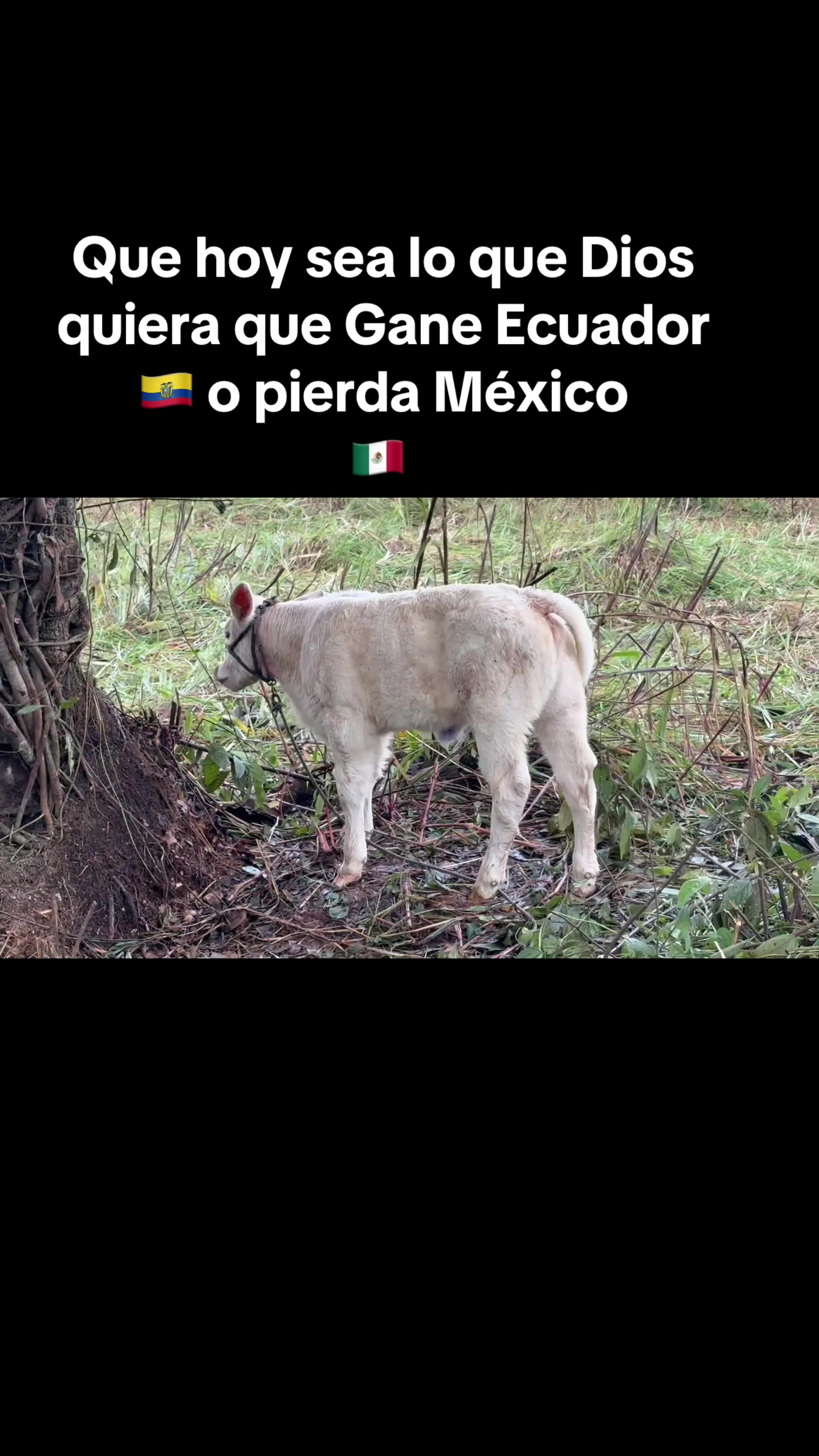 @Hern&aacute;n Andres
