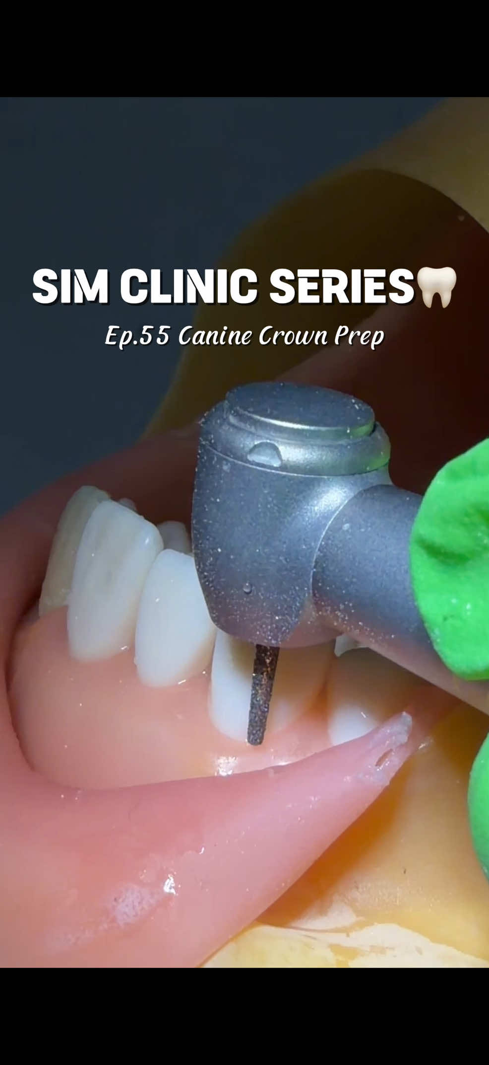 @Norm 🦷 Dental Student
