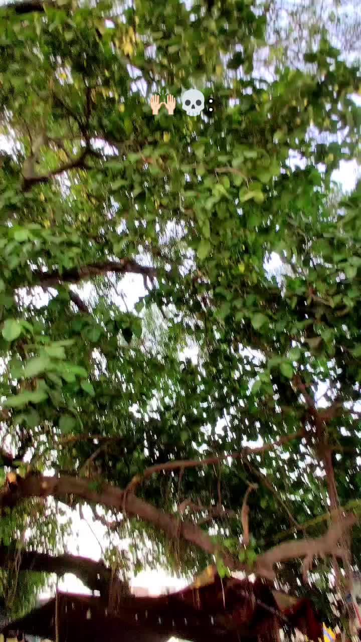 @❤️ Waqas 🥷 jutt🤟🤕🤕